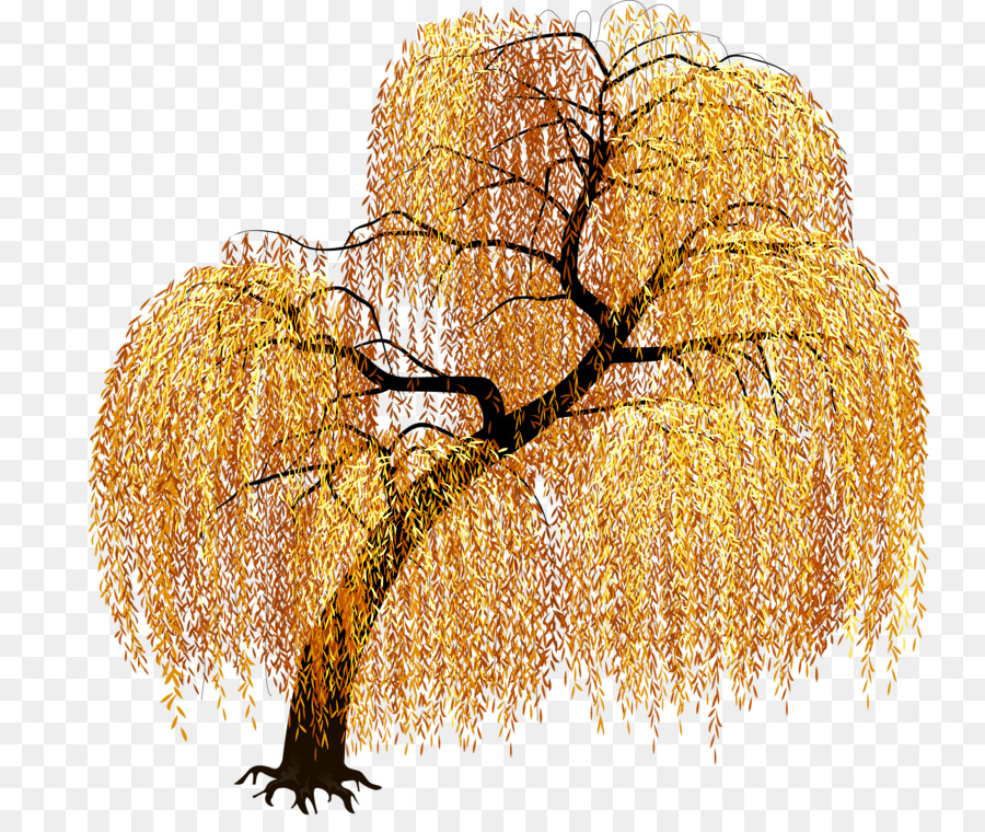 árbol De Otoño，Hojas PNG