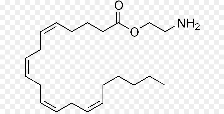 Estructura Química，Molécula PNG