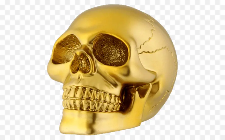 Cráneo，Oro PNG