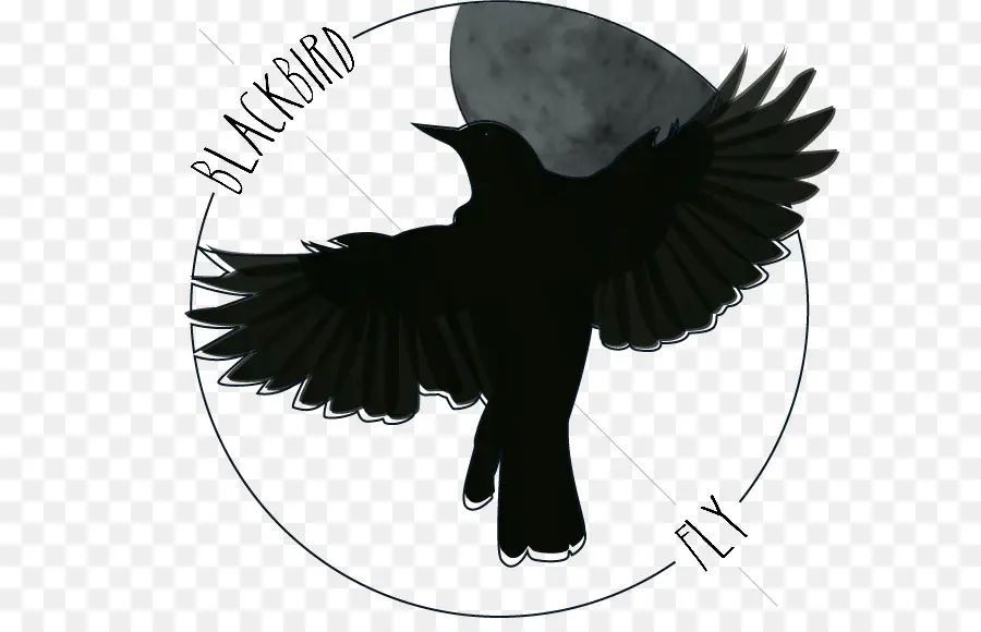 Blackbird，Arte PNG