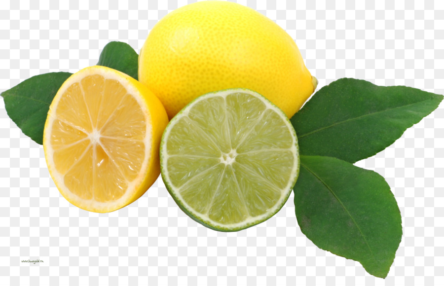 Limón Y Menta，Fresco PNG