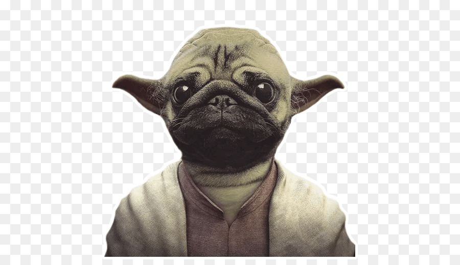 Pug，El Iphone 6 Plus PNG