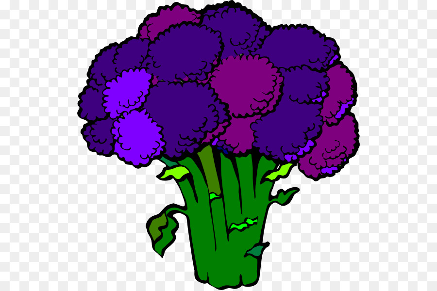 Brócoli Morado，Saludable PNG