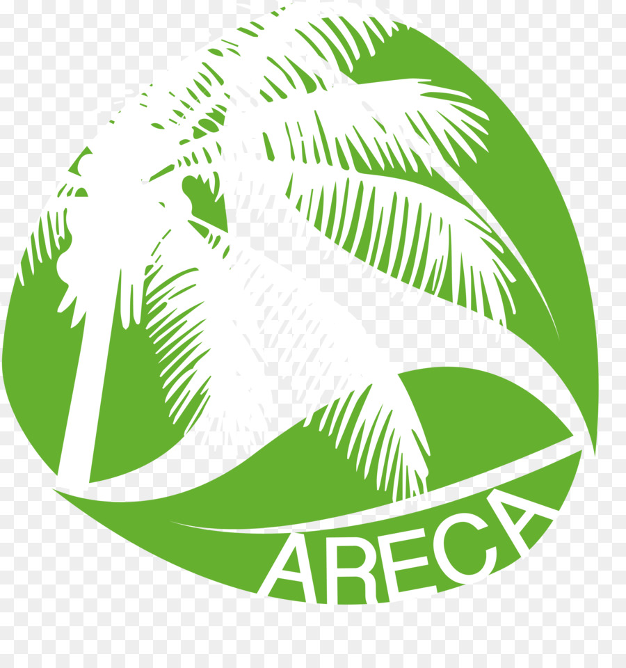 De Plástico，Areca Palm PNG