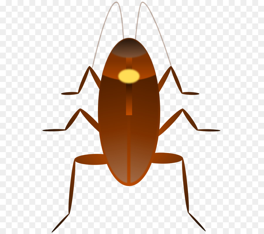 Cucaracha，El Dr Cucaracha PNG