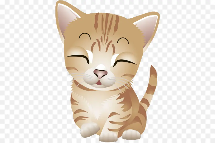 Gato，Lindo PNG