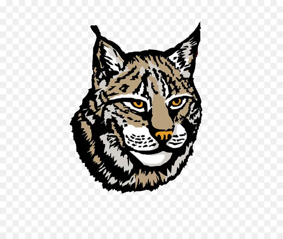 Cabeza De Lince，Salvaje PNG