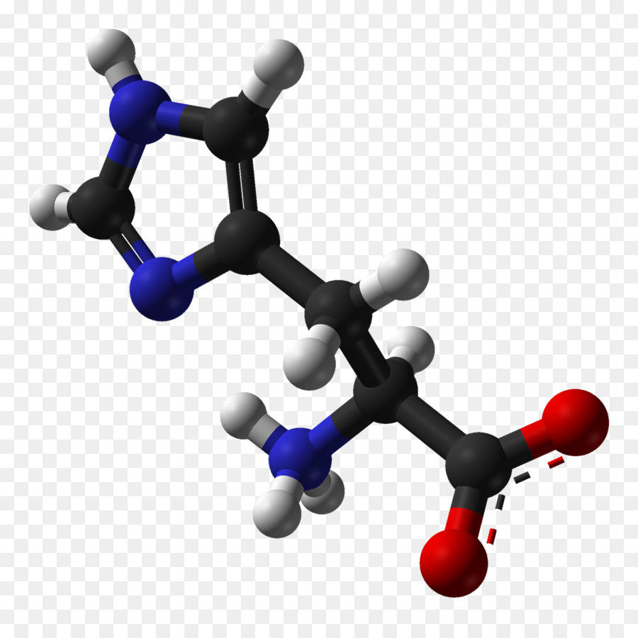 Histidina，Aminoácidos PNG