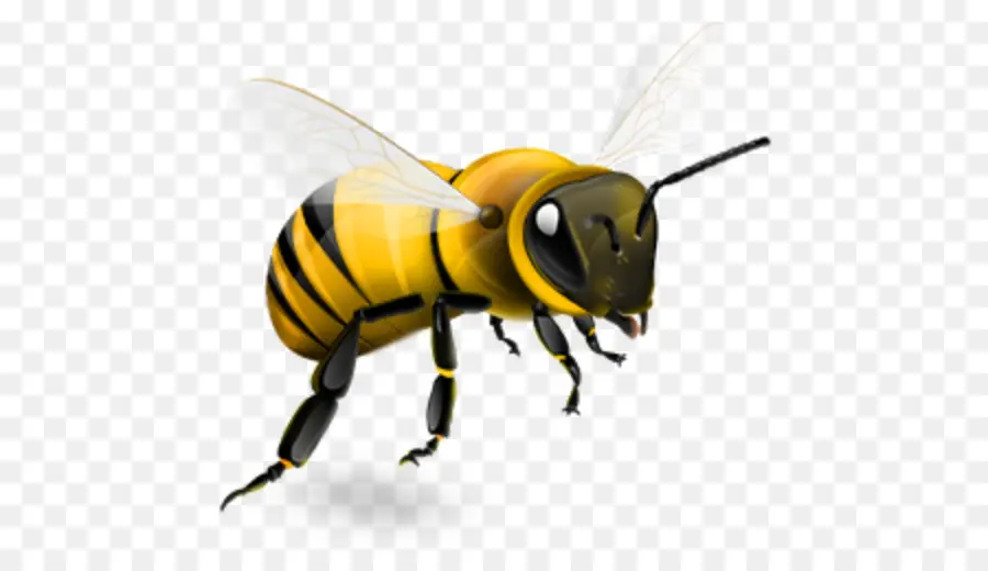 Abeja，Miel PNG