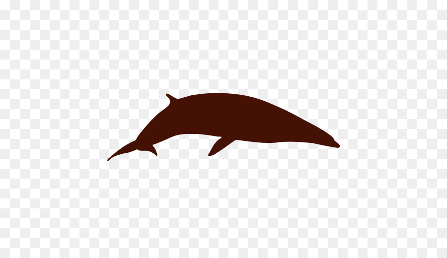 Delfín，Ballena PNG