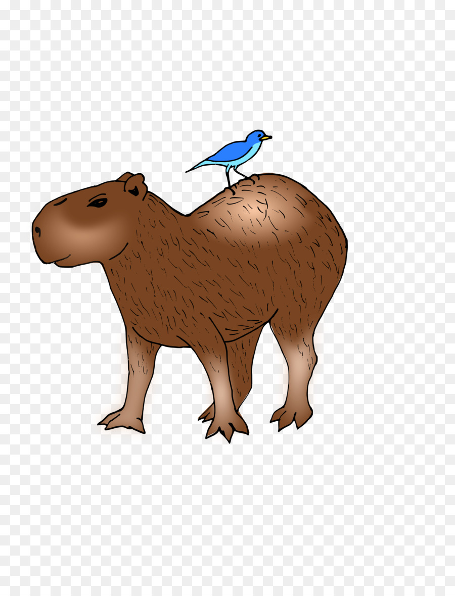 Capybara，Hámster PNG