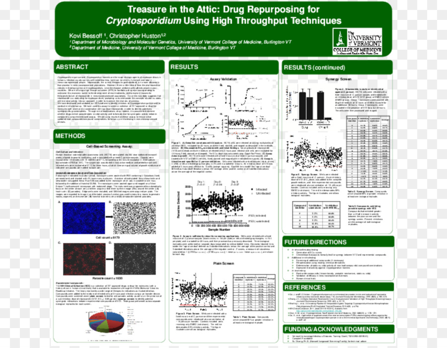 La Criptosporidiosis，Cryptosporidium Hominis PNG