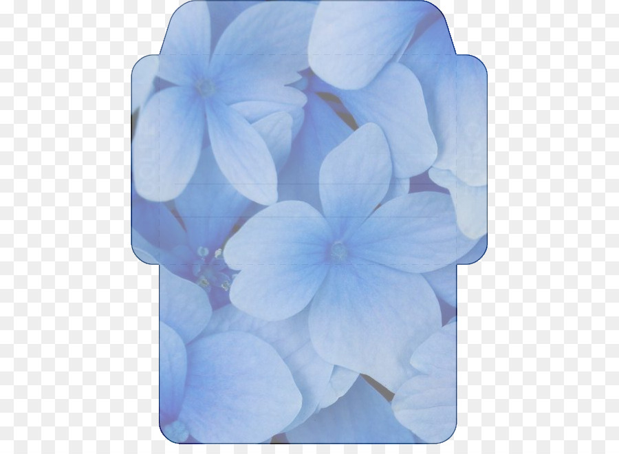 Flor，Fondo De Escritorio PNG