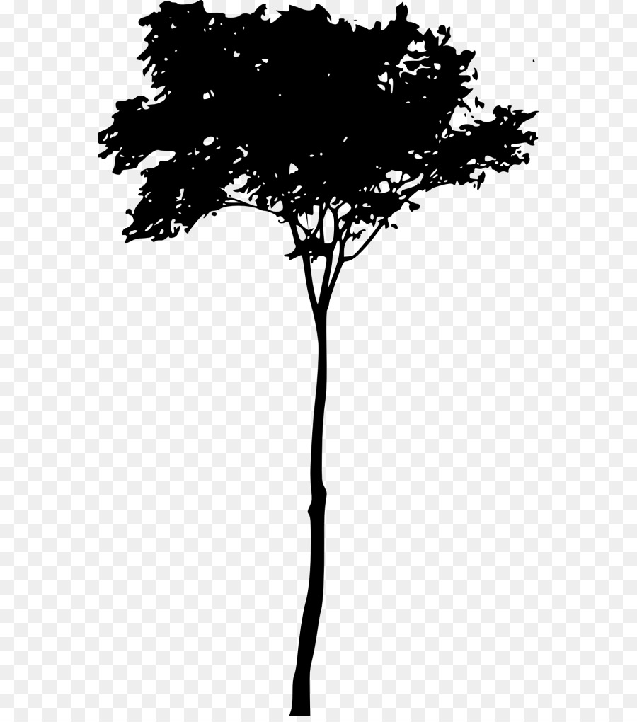 árbol Desnudo，Rama PNG