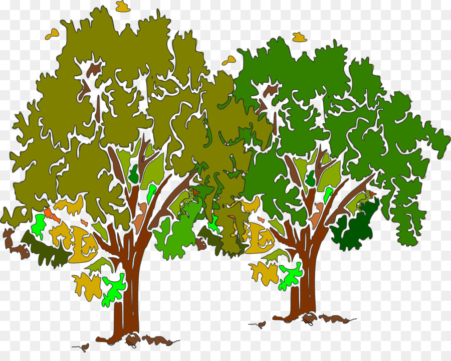 árbol，Roble PNG