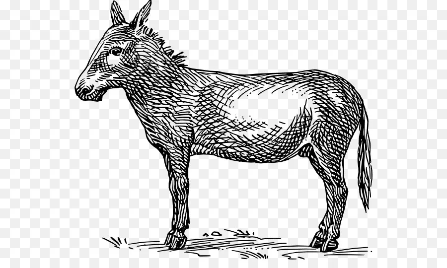 Burro，Granja PNG