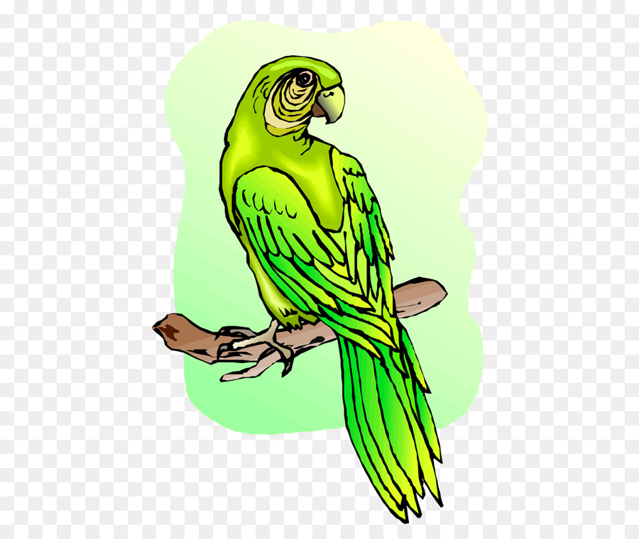 Loro Verde，Pájaro PNG