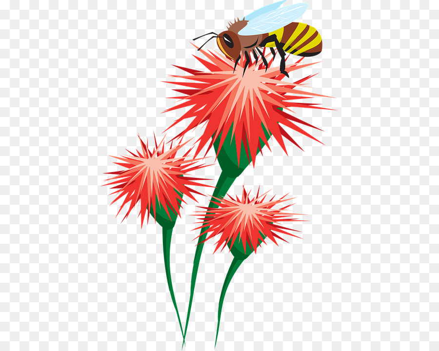 Abeja，Flor PNG