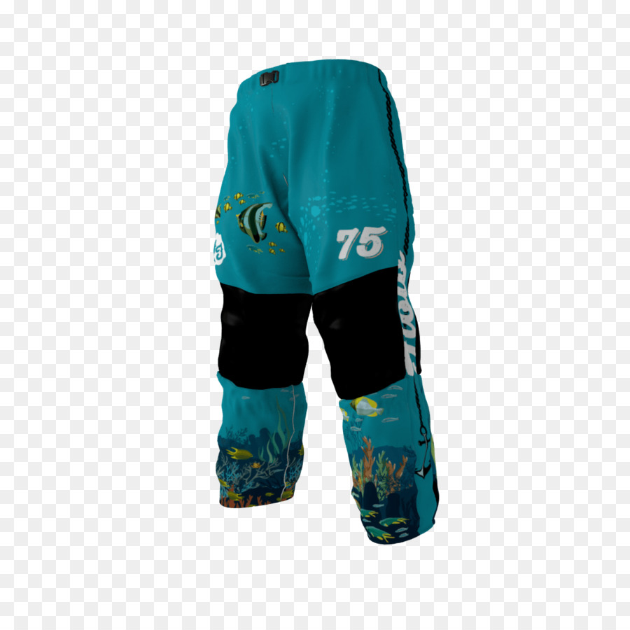 Pantalones Cortos，Hockey De Protección De Los Pantalones Cortos De Esquí PNG