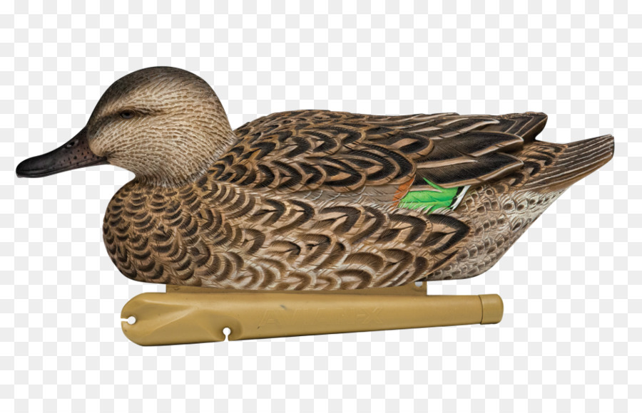 El ánade Real，Pato PNG