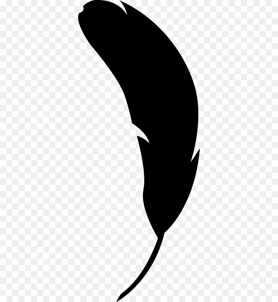 Pluma，Negro PNG