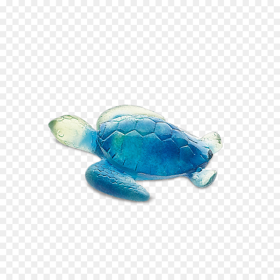 Tortuga，Azul PNG