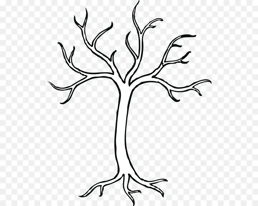 Árbol Con Raíces，Silueta PNG