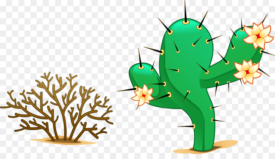 Cactus Y Arbusto，Desierto PNG