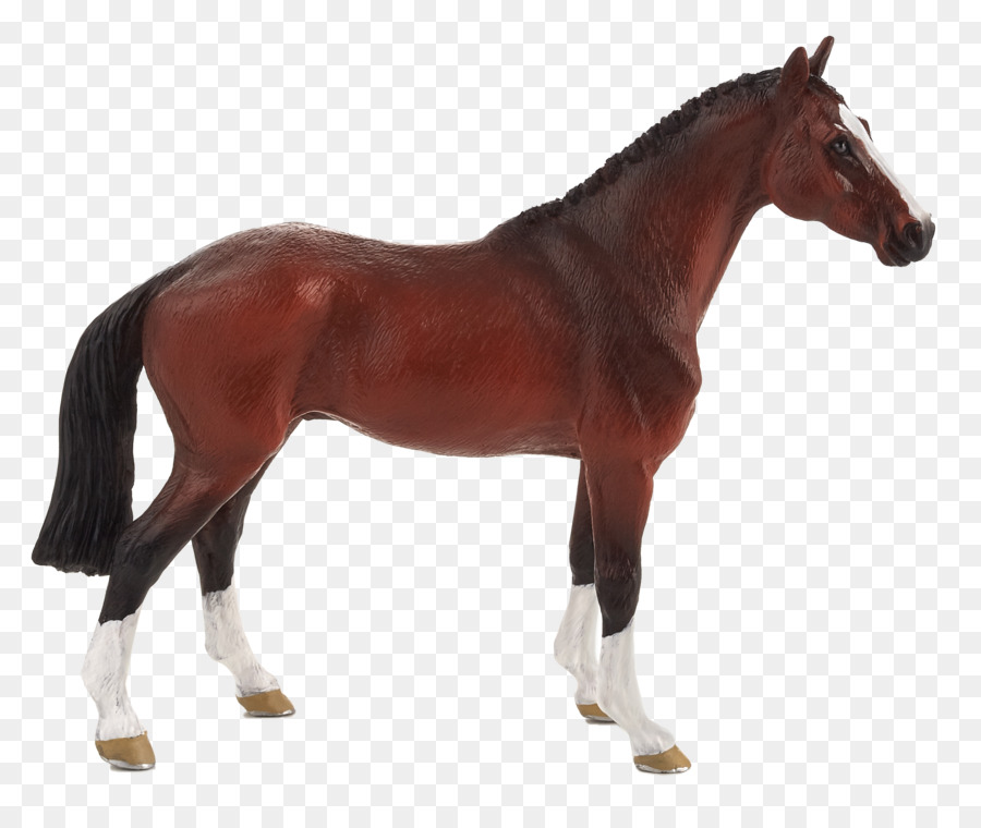 Caballo，Equino PNG