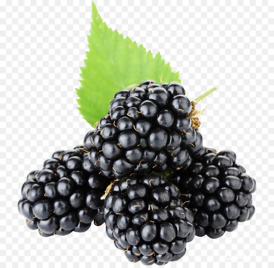 Blackberry，La Fruta PNG