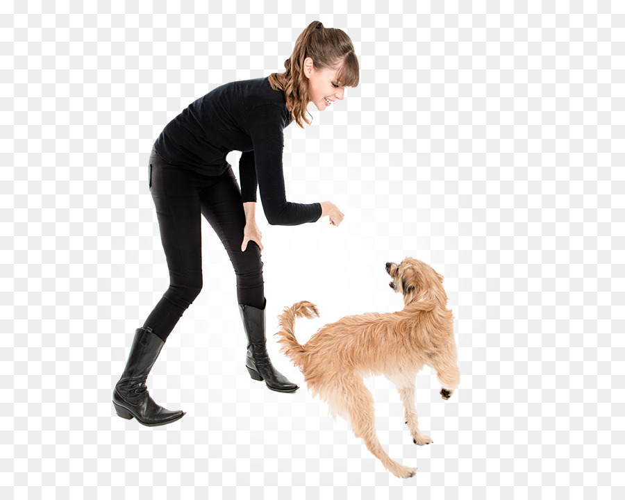 Mujer Y Perro，Capacitación PNG