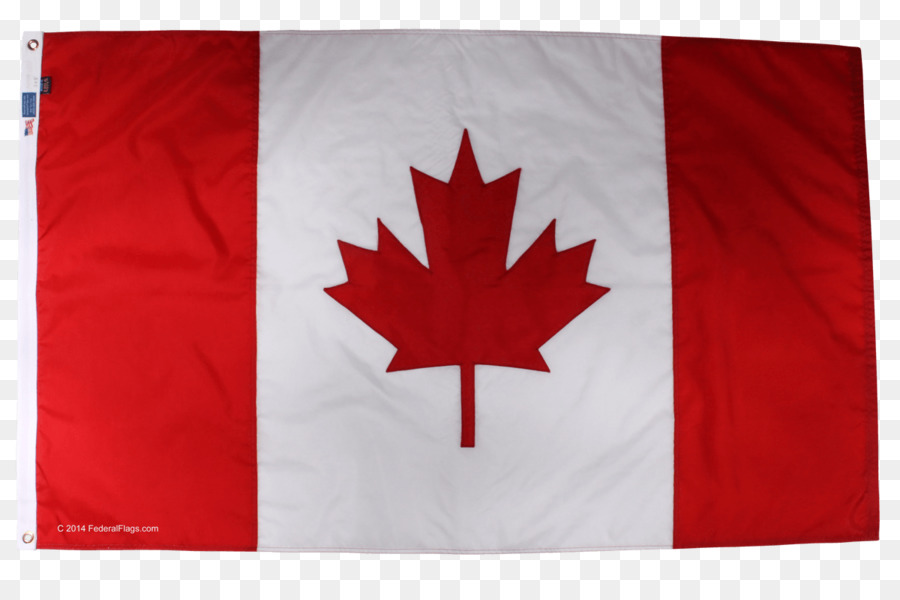 Toronto，Bandera De Canadá PNG