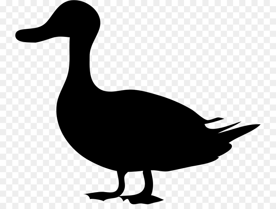 El ánade Real，Pato PNG