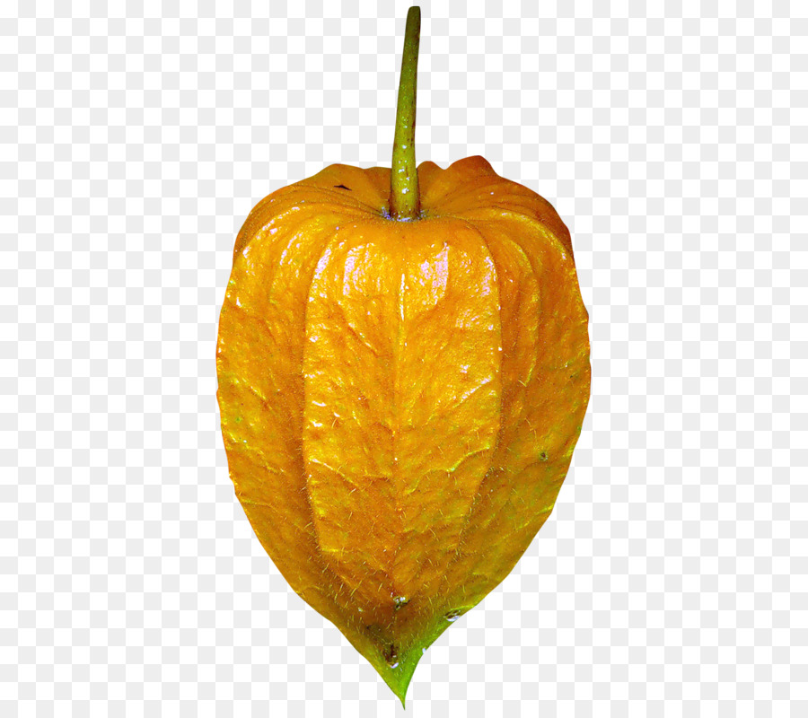 Peruano Groundcherry，Citron PNG