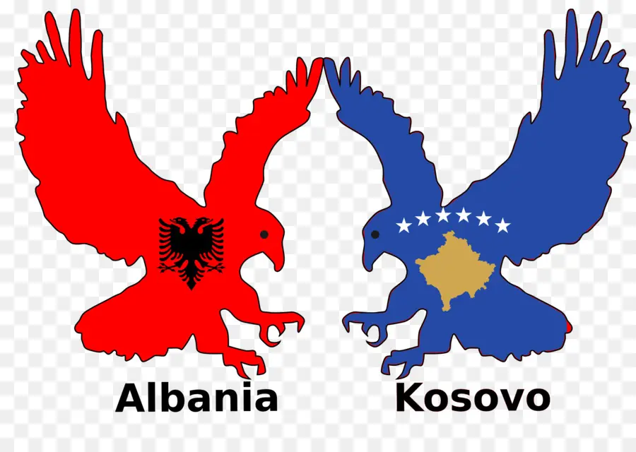 Banderas De Albania Y Kosovo，Águila PNG