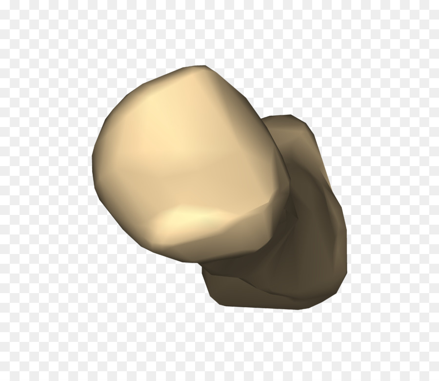 El Peroné，Tibia PNG