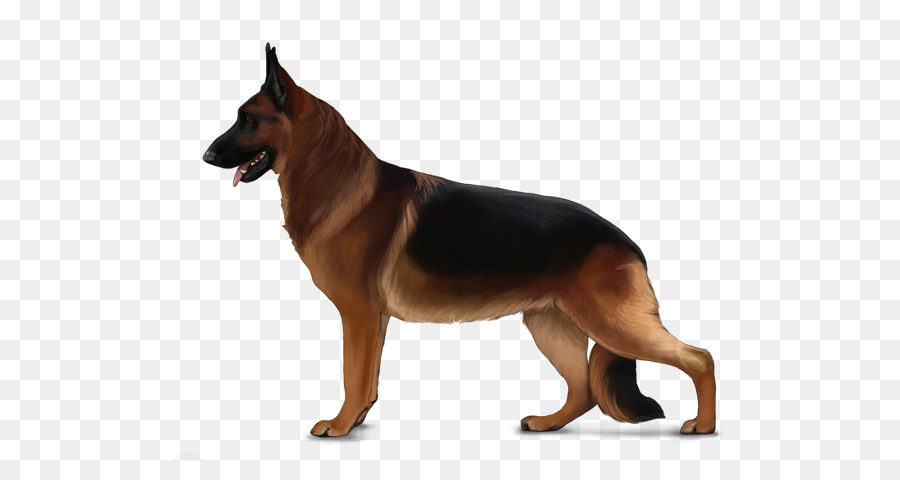 Perro，Mascota PNG