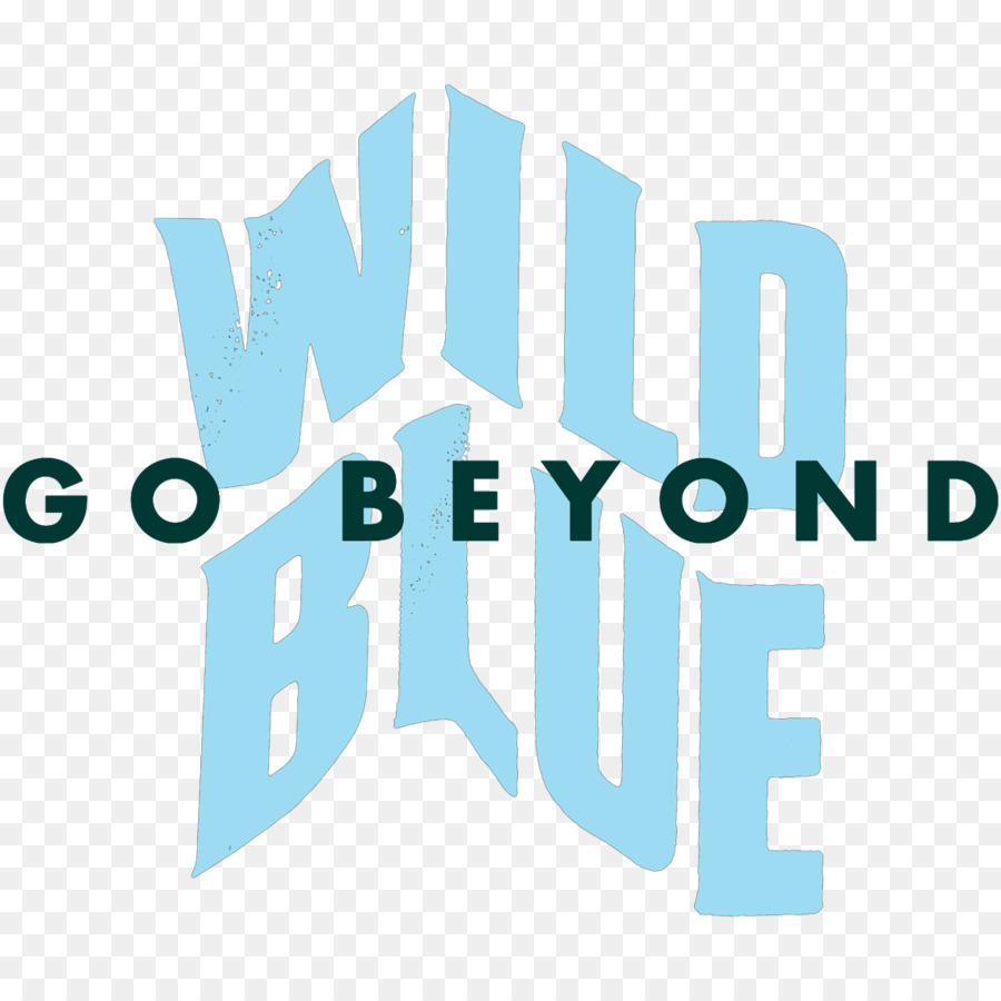 Wild Blue Parque De Aventuras De Cuerdas，Curso De Cuerdas PNG