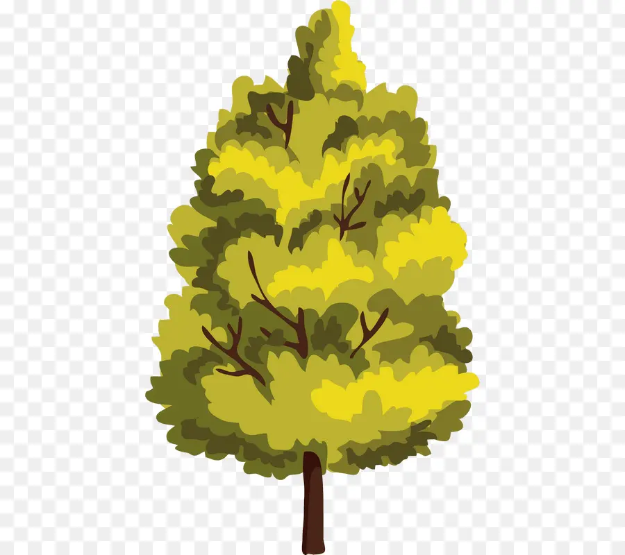 Árbol，Hojas PNG