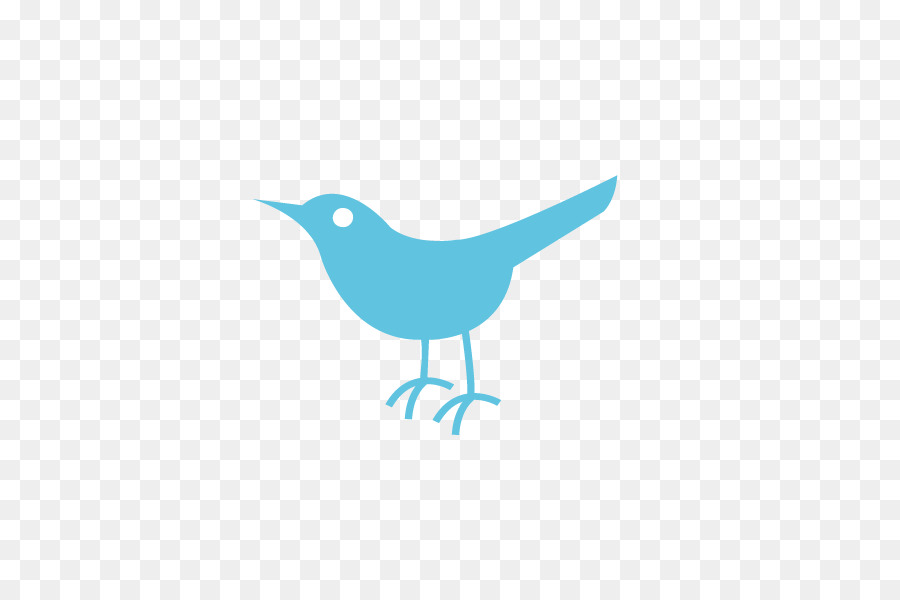 Pájaro Azul，Animal PNG