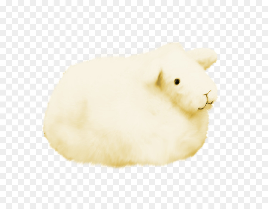 Pelo，Conejo PNG