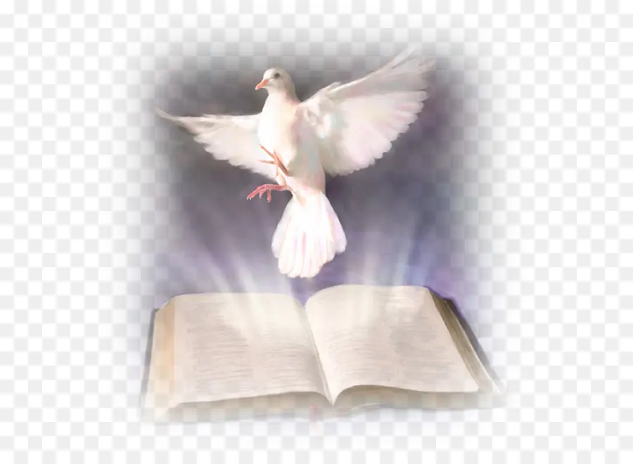 La Biblia，Espíritu Santo PNG