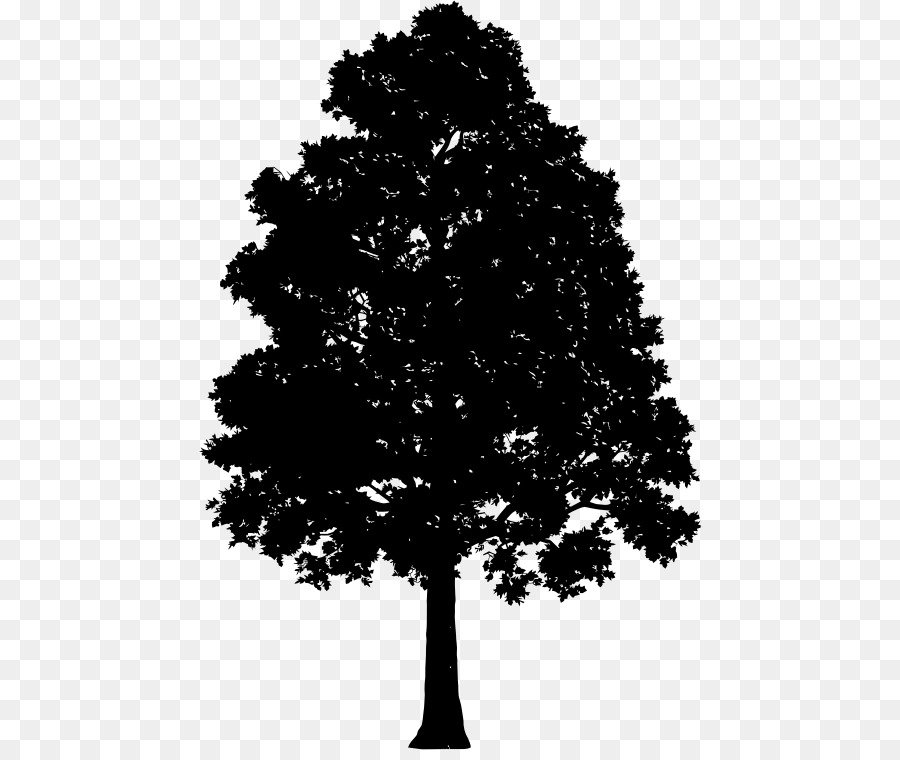 árbol，Iconos De Equipo PNG