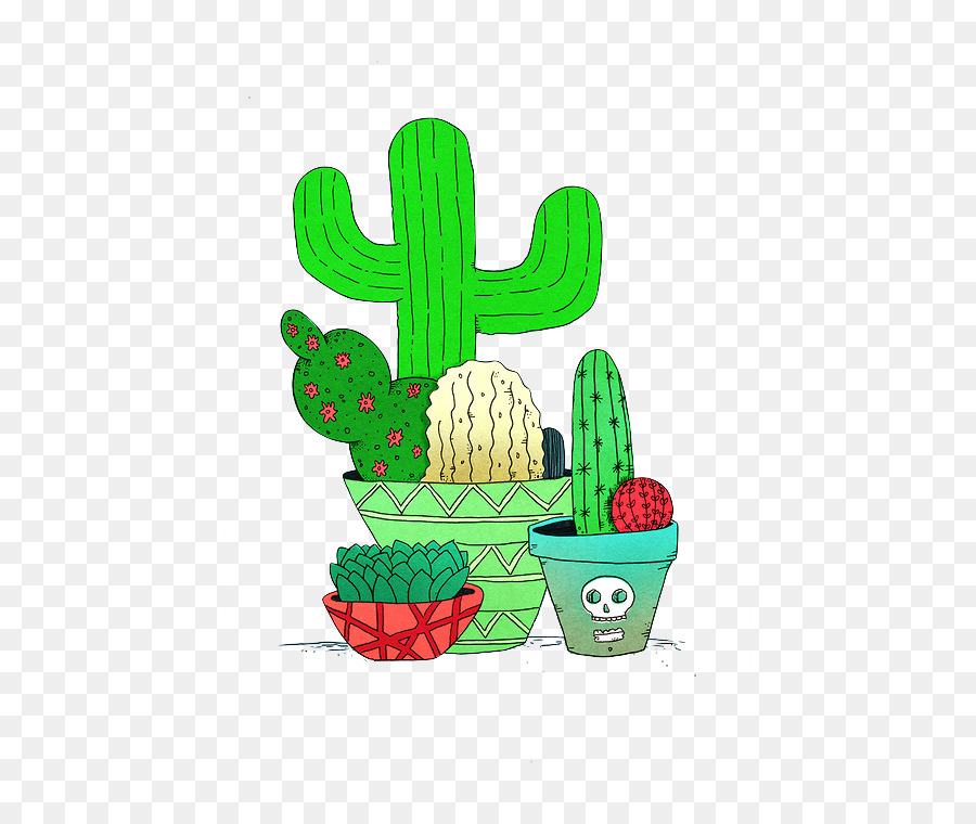 Dibujo，Cactaceae PNG