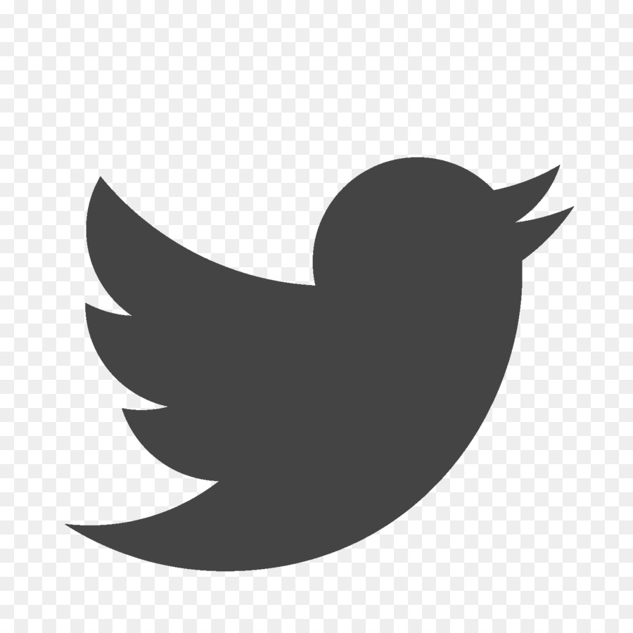 Logotipo De Twitter，Pájaro PNG