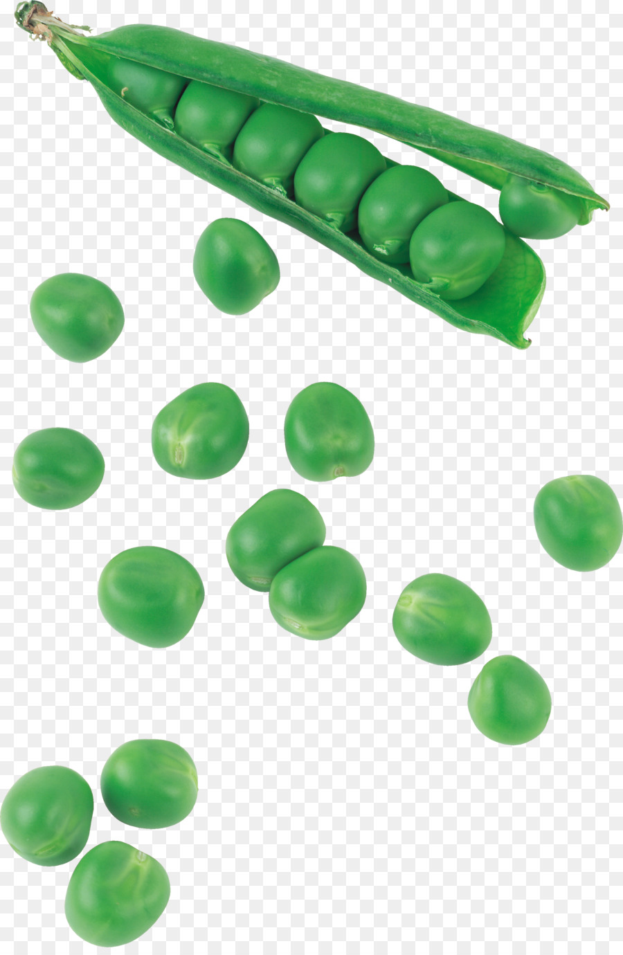 Pea，Silicua PNG