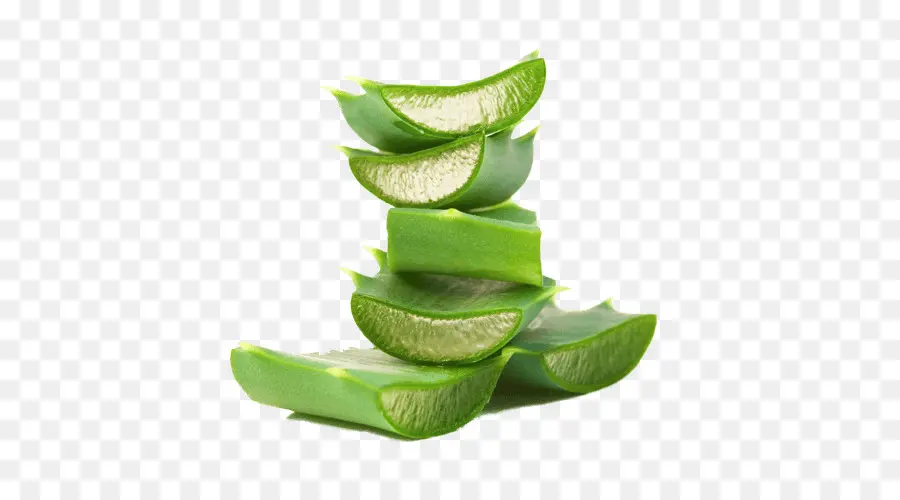 Aloe Vera，Gel PNG