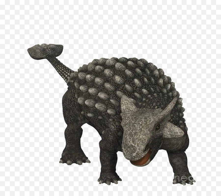 Ankylosaurus，Cretácico Tardío PNG