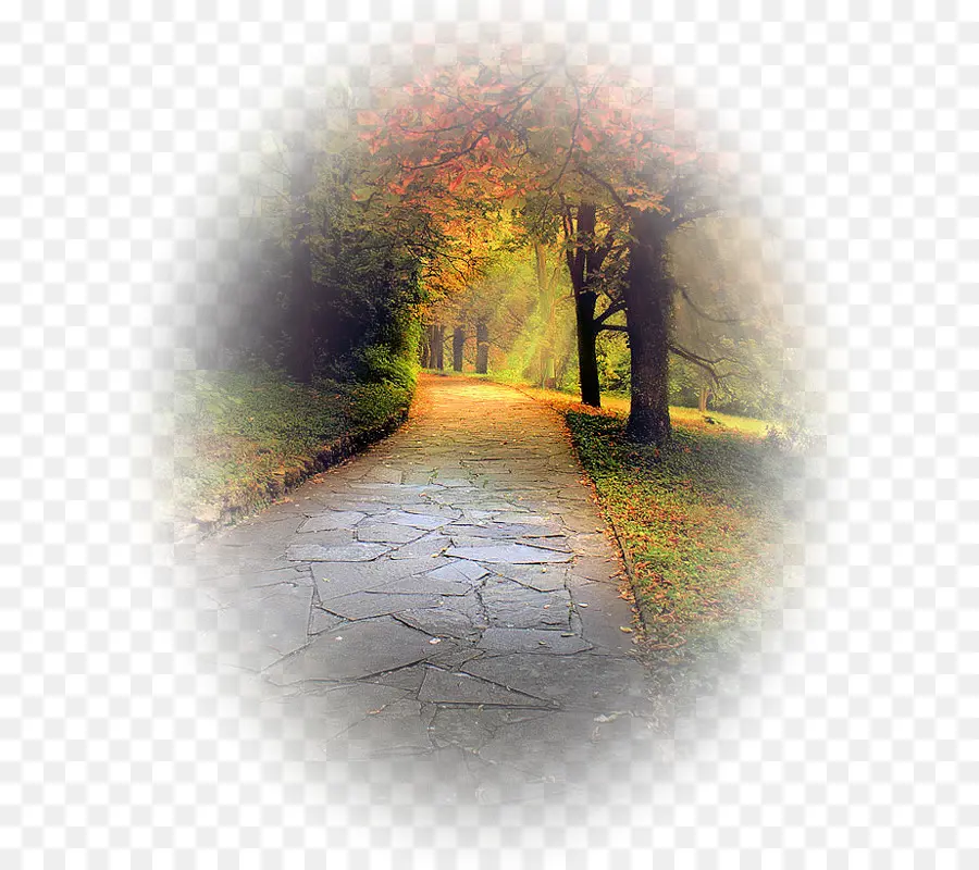 Camino，Naturaleza PNG