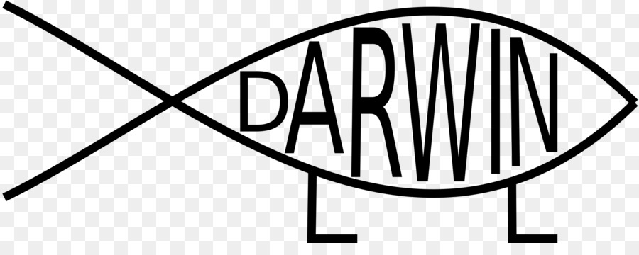 Darwin Darwin，Evolución PNG